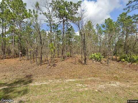 Sw 99Th Lane, Dunnellon, FL 34432
