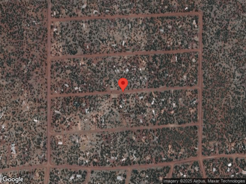 Wolf, WILLIAMS, AZ 86046