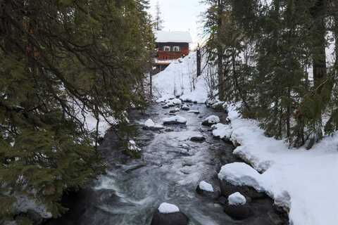 Icicle, LEAVENWORTH, WA 98826