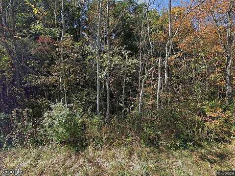 Greenhouse Road, Rustburg, VA 24588