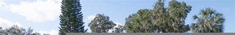 Villa Lane, Apopka, FL 32712