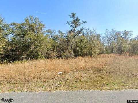 166Th Place, Wellborn, FL 32094