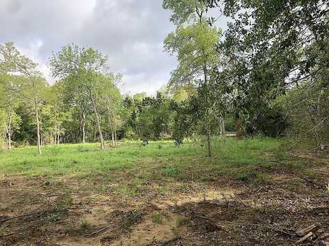 Woodland Farms, CHAPPELL HILL, TX 77426