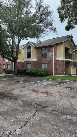 Fancy Finch Drive, Tampa, FL 33614