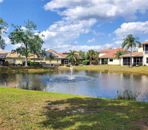 Dali Avenue, Land O Lakes, FL 34637