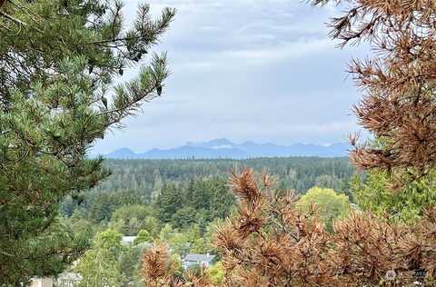 Vikings Crest Loop Ne, Poulsbo, WA 98370