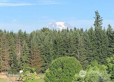 39Th, ROY, WA 98580