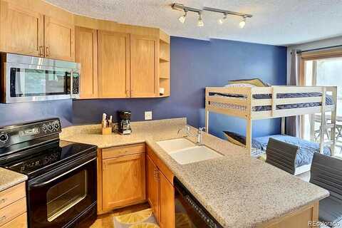 Iron Horse Way, Winter Park, CO 80482
