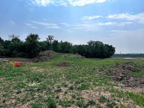Blazingstar, LAKE ELMO, MN 55042