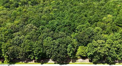 Tbd Boat Ramp Road, New Hope, NC 27944