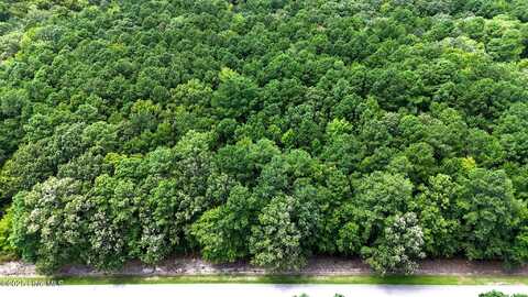 Tbd Boat Ramp Road, New Hope, NC 27944