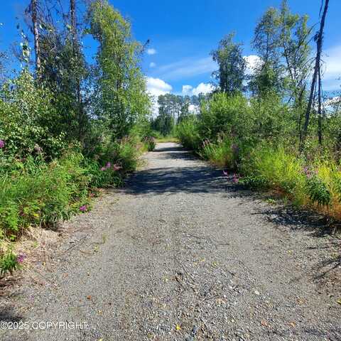 31327 S Salmon Ally Street, Talkeetna, AK 99676