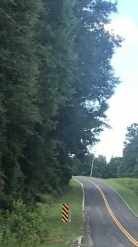Tbd Izlar Street, Blackville, SC 29817