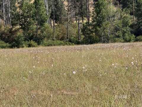 Bennie Lane, Chiloquin, OR 97624