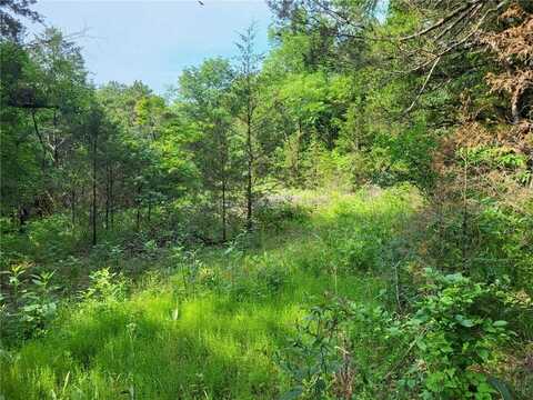 483 County Road 231, Eureka Springs, AR 72631