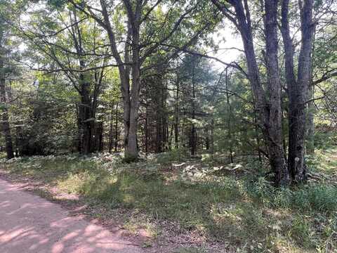80 AC N Everett Road, Roscommon, MI 48653