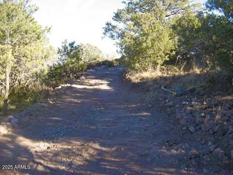 Tbd 89.59 Acres Juniper Flats Road, Bisbee, AZ 85603