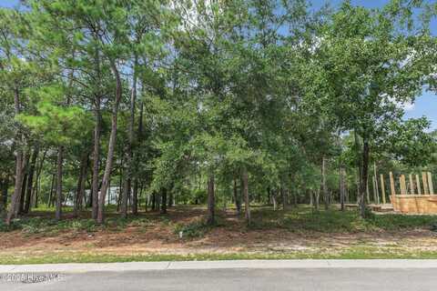 2010 Ferry Landing Drive SW, Supply, NC 28462