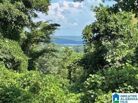 COUNTY ROAD 237, WEDOWEE, AL 36278