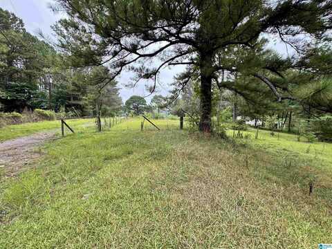 119 WRIGHT LANE, SYLACAUGA, AL 35150