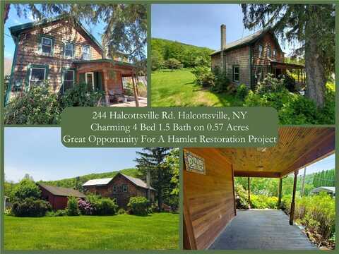 244 Halcottsville Road, Middletown, NY 12438