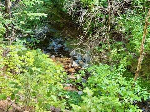 1080 Democrat Heights, Weaverville, CA 96093