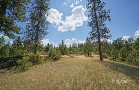 171 N Miner St, Weaverville, CA 96093