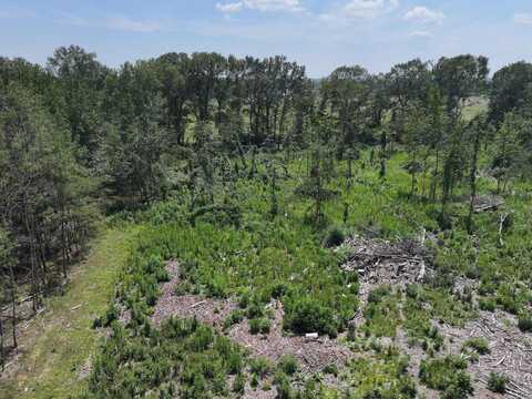 TBD KADOHA Road, Murfreesboro, AR 71958