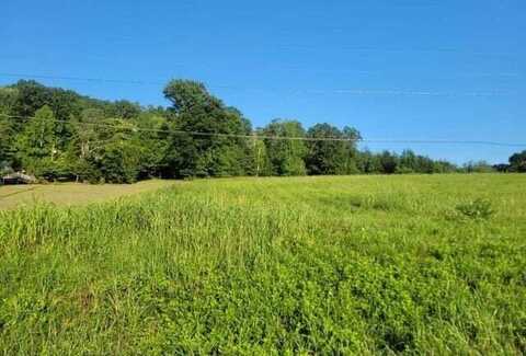 Lot 32 Hinch Street Street, Spring City, TN 37381