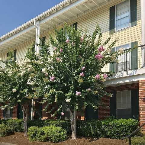 900 Mountain Creek Road, Chattanooga, TN 37405