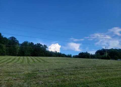 Lot 33 Hinch Street, Spring City, TN 37381
