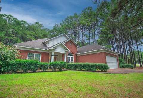 60 ROSEANNE LOOP, HAMILTON, GA 31811
