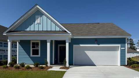 501 Gummy Bear Ct., Conway, SC 29526