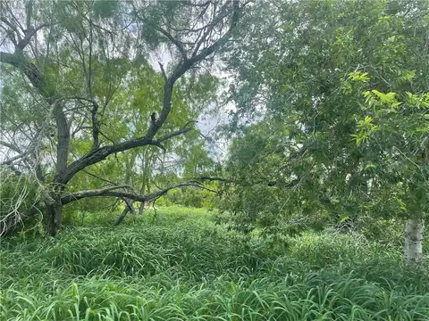 Lake Terrace Drive, Mathis, TX 78368