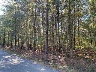 0 BIG LAKE Road, Pineville, LA 71360
