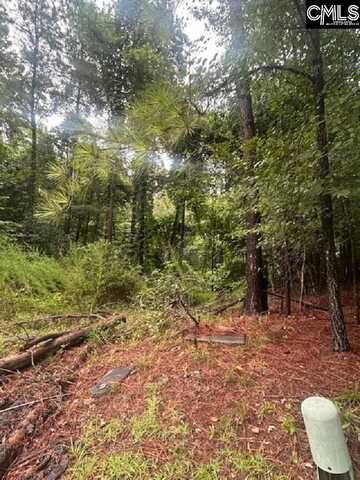 308 Bryars Court, Lexington, SC 29072