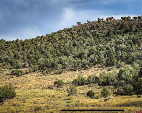 TBD Road 35, Mancos, CO 81328