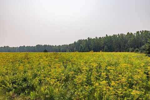 13 Acres WHITETAIL LANE, Tipler, WI 54542