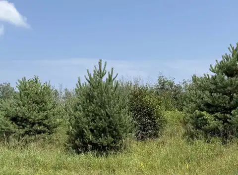 lot 2 blk 1 Reservation Rd, Cloquet, MN 55720