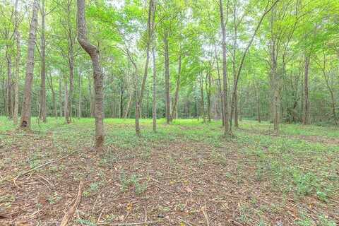 Tract 5 Old Dalton Cleveland Hwy, Cohutta, GA 30710