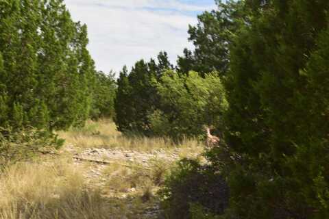 4-J Ranch Phase -3 Tracts 27 & 28, Del Rio, TX 78840