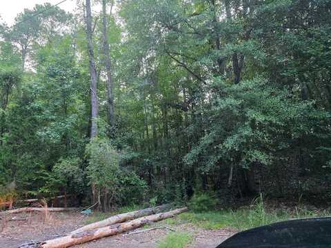 0 SANDY DRIVE, Georgetown, GA 39854