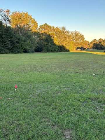 Lot 95 Lot 95 Country Club of Alabama, Eufaula, AL 36027