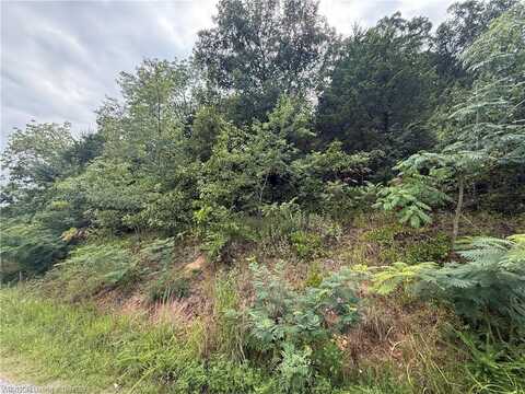 515 Bear Fry, Mansfield, AR 72944