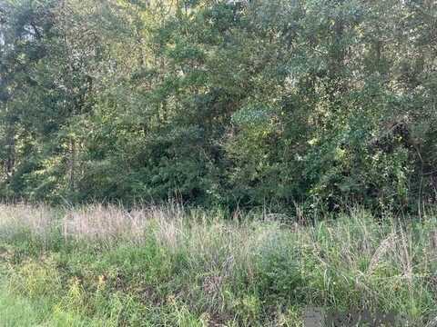 Lot 19 Trap St, Abita Springs, LA 70420