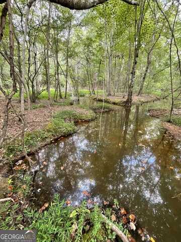 7688 Hamilton, Pine Mountain, GA 31822