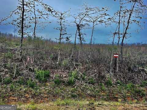 Tract B Co Rd 123, Wedowee, AL 36278