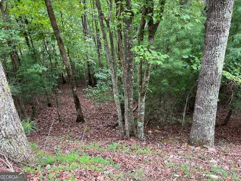 167 Tara, Ellijay, GA 30540