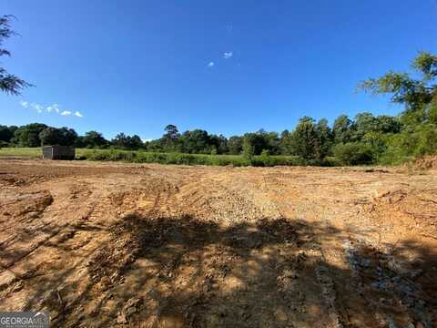 Tract 2 Hwy 51S, Homer, GA 30547