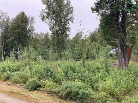 NHN SOURDOUGH STREET, FAIRBANKS, AK 99712